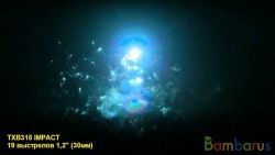 TXB315 IMPACT | фото №0
