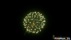 fr4029 GREEN TO BLUE PEONY 4шт | фото №0