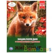 "УМКА". ЛЕСНЫЕ ЖИВОТНЫЕ (ЭНЦИКЛОПЕДИЯ А4). ТВЕРДЫЙ ПЕРЕПЛЕТ. БУМАГА МЕЛОВАННАЯ 130Г в кор.15шт | фото №0