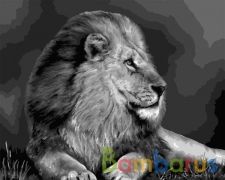 РИСОВАНИЕ ПО НОМЕРАМ НА ХОЛСТЕ, ЦАРЬ ЗВЕРЕЙ, РАЗМЕР 40*50 в кор.22шт | фото №0