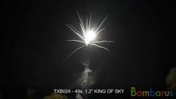 TXB024 KING OF SKY | фото №0