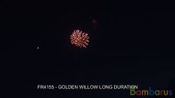 fr4155 GOLDEN WILLOW LONG DURATION | фото №0
