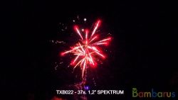 TXB022 SPEKTRUM | фото №0