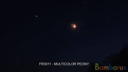 fr3011 (Шар 3") red green and BLUE PEONY 3" | фото №0