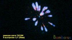 TXC296 (длина трубы 80 см.) 1,2" | фото №0