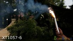 XT1057-6 color white, manual torch | фото №0