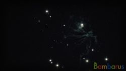 КБ-0132 Фредди | фото №0