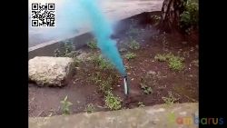 TXF160 зелёный | фото №0