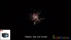 TXB243 FLASH | фото №0