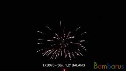 TXB076 BALANS | фото №0