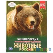 "УМКА". ЖИВОТНЫЕ РОССИИ (ЭНЦИКЛОПЕДИЯ А4 С РАЗВИВАЮЩИМИ ЗАДАНИЯМИ). ТВЕРДЫЙ ПЕРЕПЛЕТ в кор.15шт | фото №0