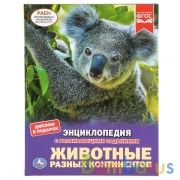 "УМКА". ЖИВОТНЫЕ РАЗНЫХ КОНТИНЕНТОВ (ЭНЦИКЛОПЕДИЯ А4 С РАЗВИВАЮЩИМИ ЗАДАНИЯМИ). в кор.15шт | фото №0