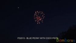 FD2013 ( Шар 2,5" )  BLUE PEONY W/COCO PISTIL 2,5" | фото №0