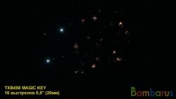 TXB498 MAGIC KEY (36/1) | фото №0