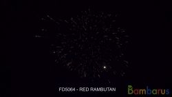 FD5064 RED RAMBUTAN 5 | фото №0