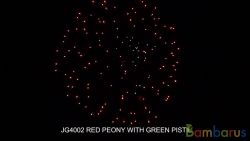 JG4002 RED PEONY W/GREEN PISTIL 4"F4 | фото №0