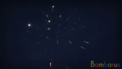 МБ-0192 Афродита | фото №0