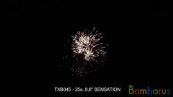 TXB045 SANSATION | фото №0
