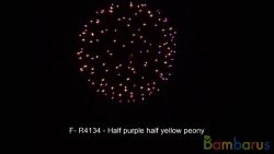 fr4134 HALF PURPLE HALF YELLOW PEONY | фото №0