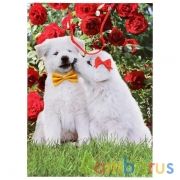 Пакет подарочный глянцевый собаки, 33*46*20см в пак. Играем вместе уп-12шт в кор.6уп | фото №0