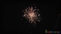 МБ-1001 100 | фото №0