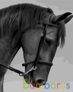 РИСОВАНИЕ ПО НОМЕРАМ НА ХОЛСТЕ, ВОРОНОЙ КОНЬ, РАЗМЕР 40*50 в кор.22шт | фото №0