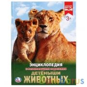"УМКА".ДЕТЕНЫШИ ЖИВОТНЫХ (ЭНЦИКЛОПЕДИЯ А4). ТВЕРДЫЙ ПЕРЕПЛЕТ.БУМАГА МЕЛ, 48 СТР., в кор.15шт | фото №0