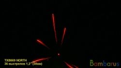 TXB669 NORTH | фото №0