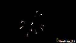 FD3068 (Шар 3") FLASHING TIME RAIN COCO | фото №0