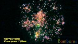 TXB776 X-TREME | фото №0