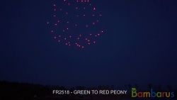 fr2518 GREEN TO RED PEONY, CE | фото №0