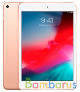 Планшет Apple iPad mini (2019) Wi-Fi 64Gb (Gold) | фото №0