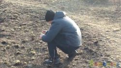 K0203-5 Терочные  Ахтунг (уп-50 шт)  (1/50) (NEW) | фото №0