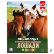 "УМКА". ЛОШАДИ И ПОНИ (ЭНЦИКЛОПЕДИЯ А4 С РАЗВИВАЮЩИМИ ЗАДАНИЯМИ). ТВ. ПЕРЕПЛЕТ. 48 СТР. в кор.15шт | фото №0
