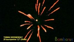 TXB664 WEDNESDAY (4/1) | фото №0