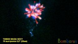 TXB826 MAGIA NOCY(27/1) | фото №0