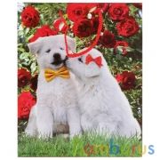 Пакет подарочный глянцевый собаки, 26*32*14см в пак. Играем вместе уп-12шт в кор.6уп | фото №0