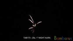 TXB173 NIGHT AURA | фото №0