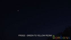 fr3022 (Шар 3") GREEN TO YELLOW PEONY 3" | фото №0