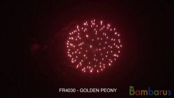 fr4030 GOLDEN PEONY | фото №0