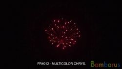 fr4012 MULTICOLOR CHRYS. 4 шт | фото №0