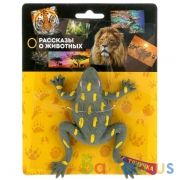 ЛЯГУШКА -ТЯНУЧКА "ИГРАЕМ ВМЕСТЕ" ЦВЕТ В АССОРТ. НА КАРТ. (РУСС. УП.) 28*17СМ в кор.2*72шт | фото №0