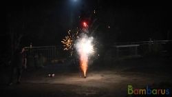 МБ-0111 Балет | фото №0