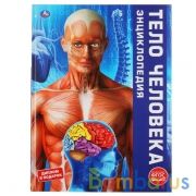 "УМКА". ТЕЛО ЧЕЛОВЕКА. (ЭНЦИКЛОПЕДИЯ А3). ТВЕРДЫЙ ПЕРЕПЛЕТ. БУМАГА МЕЛОВАННАЯ ПУХЛАЯ 130Г в кор.15шт | фото №0