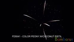 FD5041 COLOR PEONY W/COCONUT PISTIL | фото №0