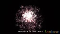TXB061 FINAL CAKE 6 | фото №0