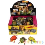 ЧЕРЕПАХА "ИГРАЕМ ВМЕСТЕ" 10-13СМ, В АССОРТ., С ХЭНТЭГОМ В ДИСПЛЕЕ УП-30ШТ в кор.12уп | фото №0