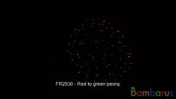 fr2530 ( Шар 2,5" ) RED TO GREEN PEONY. CE | фото №0