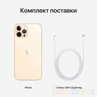 Смартфон Apple iPhone 12 Pro Max 256GB Gold (Золотой)