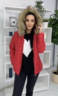 Красная Женская Куртка / Осень - Зима